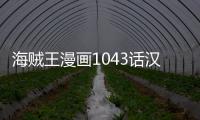 海贼王漫画1043话汉化内容 海贼王1043话最新情报剧透